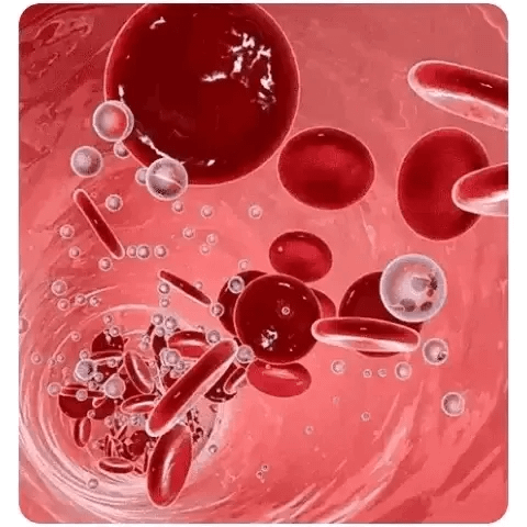 🔥🔥Final 3 Hours: 70% OFF🏆 Limited-Time Offer – Don’t Miss This Deal